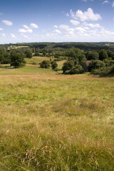 A view of parkland in summer with a cloudy sky