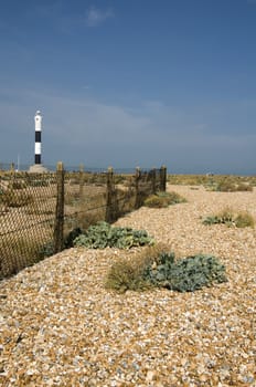 The pebble beach at Dungeness with the new lighthouse in the distance