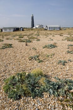 The pebble beach at Dungeness with the old lighthouse in the distance