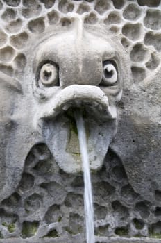 Detail of a fish fountain with water coming out of the mouth