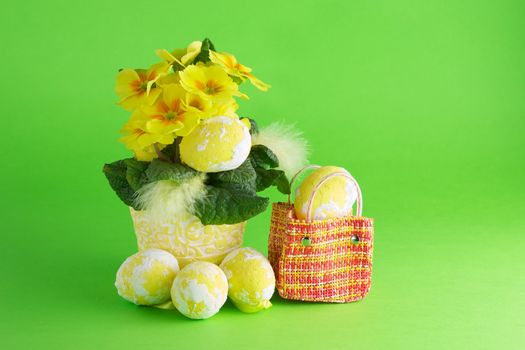 Easter eggs and primula on a green background