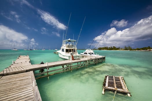 anegada island, bvi wintwr 2010