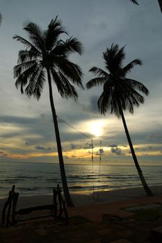 silhouette of two palm trees with swing  