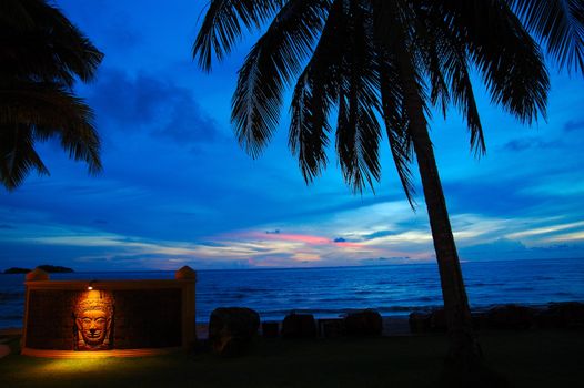 Palm tree's silhouette on dark blue sky