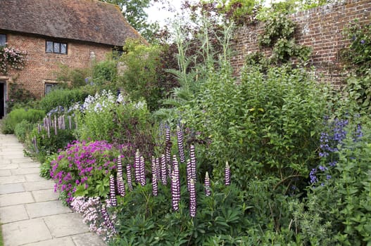 A cottage garden with an herbaceous border
