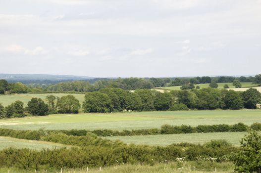 A view
 of the Kent countryside on a cloudy day