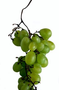 green grapes isolated on the white background