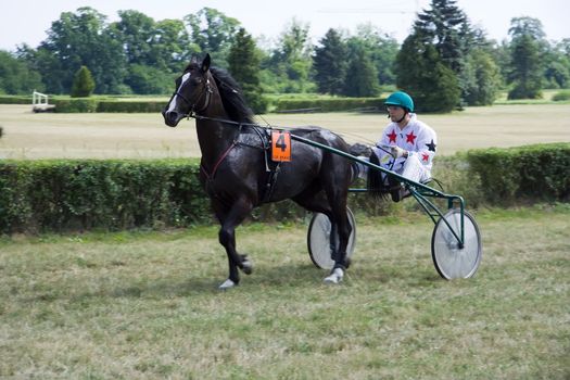Horse trotting cart race competition