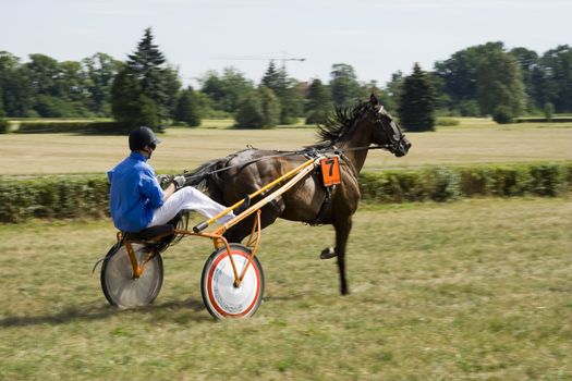 Horse trotting cart race competition