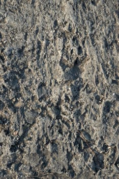concrete texture