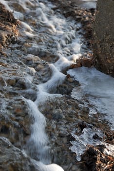 spring torrents