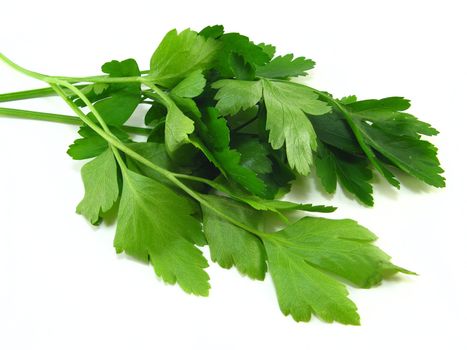 Bunch of parsley over a white background