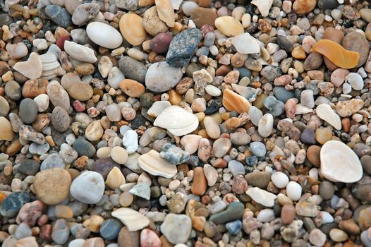 Colorful,wet,beach rocks with seashells