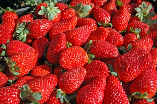 fresh Strawberries macro photo