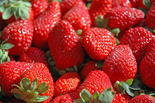 fresh Strawberries macro photo