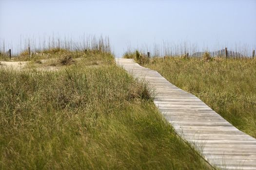 Wooden access path to beach on Bald Head Island, North Carolina.