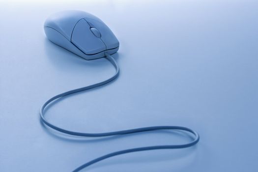 Computer mouse.