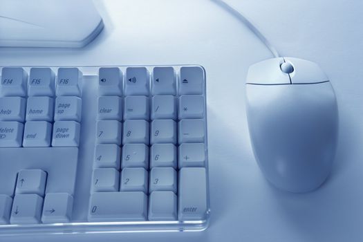 Computer keyboard and mouse.