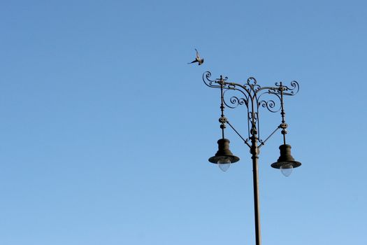 lamp post and flying pigeon