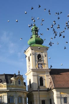 flying pigeons in front of old tower from sibiu