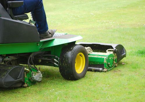 Man cutting grass using motorised grass cutter