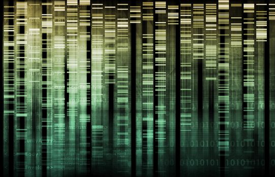 Information Technology Data Network as a Abstract