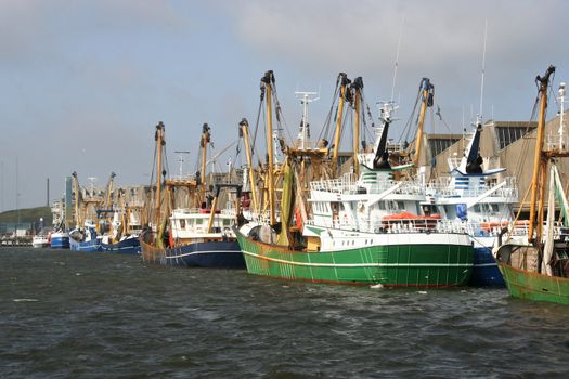 Fishing trawlers in the harbour