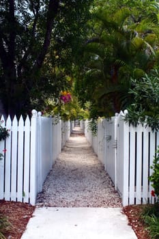 A walkway lined by white picket fences and tropical foliage