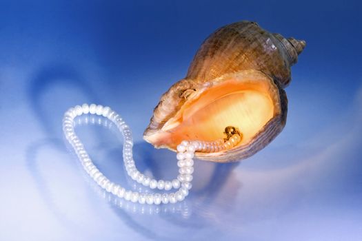 Necklace from pearls and a sea clam-shell (Rapana thomasiana)

