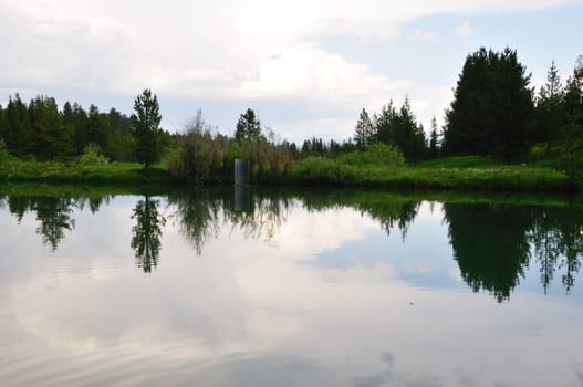 Trees and a grassy slope are reflected in a still pond under a stormy sky.