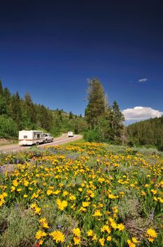 Two recreational vehicles driving through wildflowers in the mountains near the Grand Tetons.