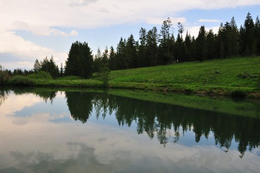 Trees and a grassy slope are reflected in a still pond under a stormy sky.