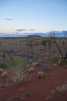 Detail of the Australian Outback, Northern Territory, Australia, August 2009