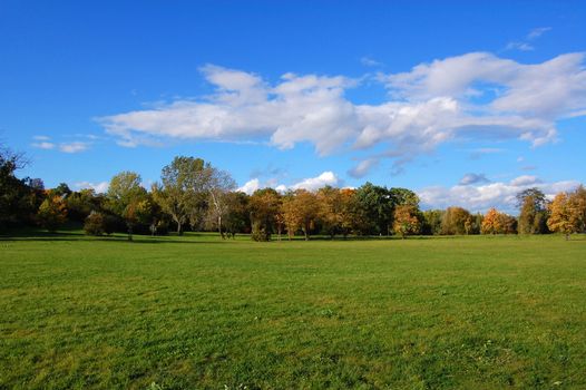 green trees of a park at summer or autumn under blue sky