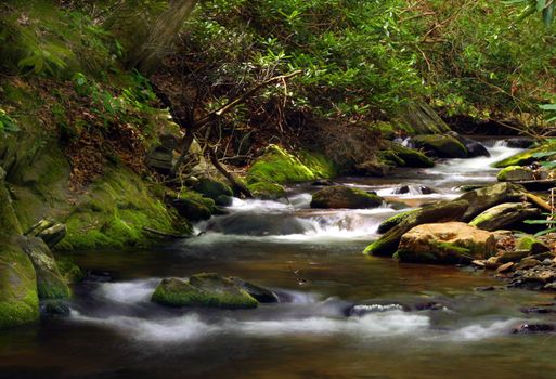 A beautiful creek off of the blue ridge parkway in VA.