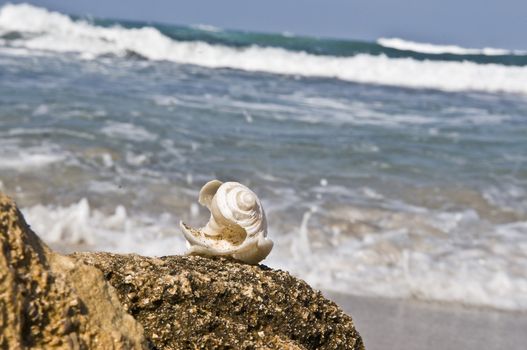 Broken sink, shells on the rocks near the sea