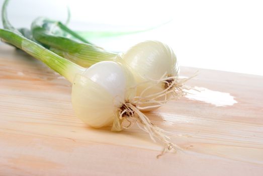 Green onions.fresh vegetables 