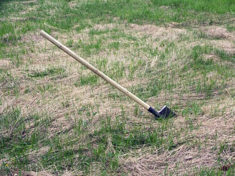Shovel on a field. Green grass