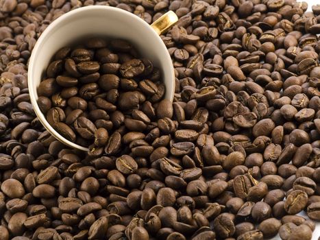 coffee cup full of coffee beans on dark background