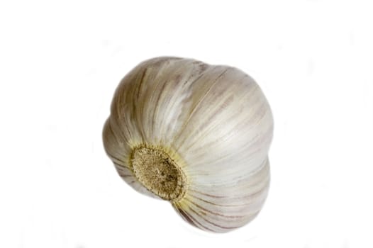 garlic isolated on the white background