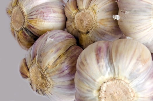 garlic isolated on the white background