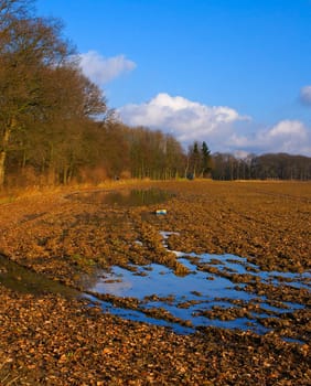 autumn farmlandscape with a puddle on the field