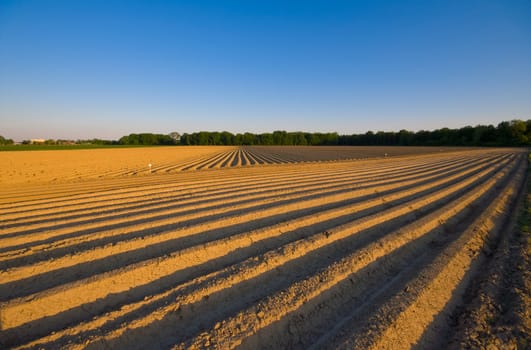 cultivated farmland with lines and pattern from plough
