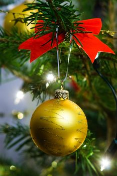 Christmas ball on the fir tree