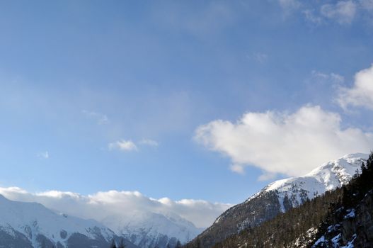 Mountain panorama, covered with trees and high snow, partly in the clouds. Shot in Livigno - Italian Alps