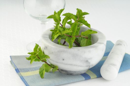 Fresh wild mint ready to be used in a drink.