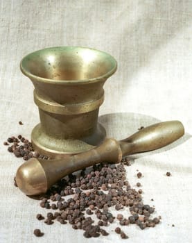 Pepper, copper pounder and pestle on canvas