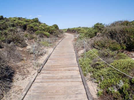 Pathway leading through the dunes to the beach.