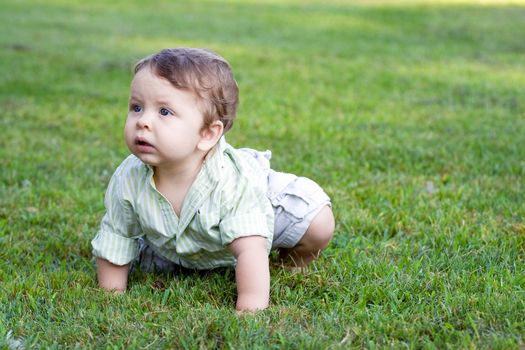 A little baby boy crawling through the green grass outdoors.