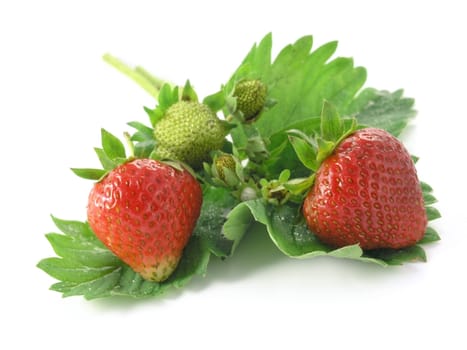 fresh strawberries isolated on white background